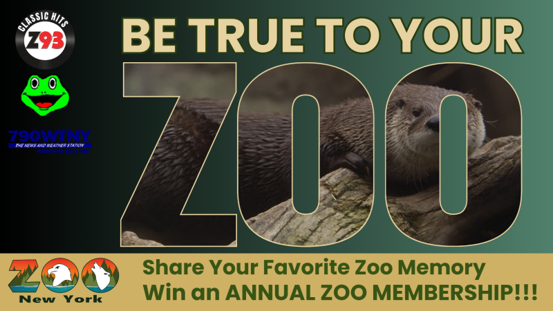 Be True To Your Zoo!