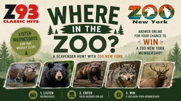 Where in the Zoo?